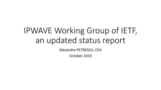 IPWAVE Working Group - Current Status Report