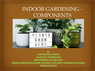 Indoor Gardening Components and Bonsai Culture Information