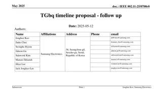 IEEE 802.11-25 Timeline Adjustment Proposal Summary