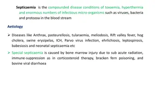 Septicaemia and its Causes, Symptoms, and Diagnosis