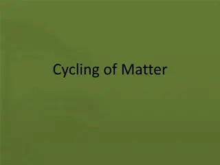 Understanding the Cycle of Matter in Living Systems