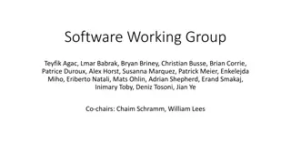 Software Working Group Goals and Progress