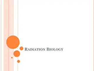 RADIATION BIOLOGY