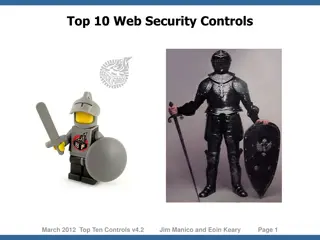 Advanced Web Security Controls Overview