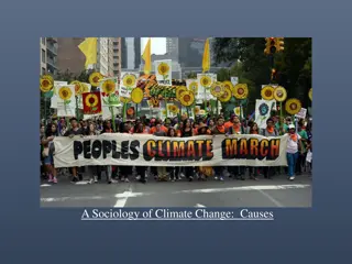 Societal Causes of Climate Change: Insights from Sociology