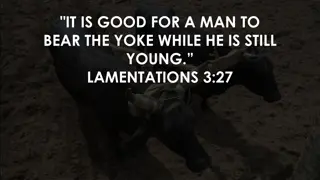 Reflections on Biblical Themes
