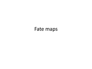 Construction of Fate Maps for Developmental Studies