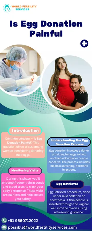 Is Egg Donation Painful