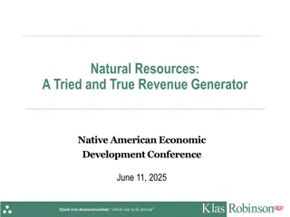 Native American Economic Development Insights