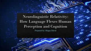 Understanding Neurolinguistic Relativity
