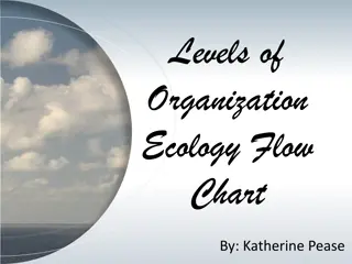 Ecology Organization Flow Chart Guide