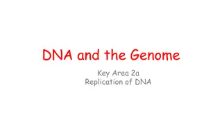 DNA Replication Essentials