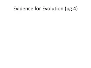 Evidence for Evolution: Fossil Record, Comparative Anatomy, Vestigial Structures, Embryology