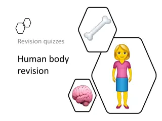 Human Body Revision Quizzes