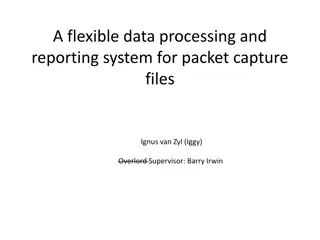Flexible Data Processing & Reporting System for Packet Capture Files