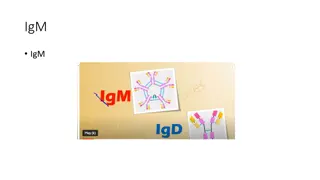 Exploring IgM Antibodies in Medical Presentations