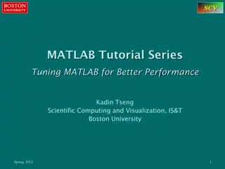 Enhancing MATLAB Performance through Memory Allocation
