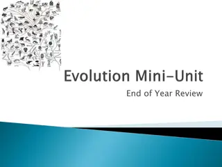 Overview of Life's Origins and Evolution