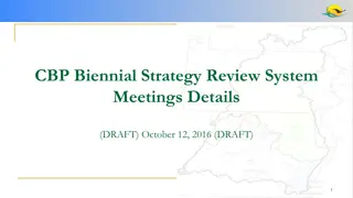 Biennial Strategy Review System Meetings Details