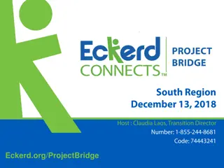 Eckerd Project Bridge Census and Performance Analysis