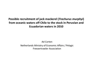 Insights into Jack Mackerel Recruitment and Catches
