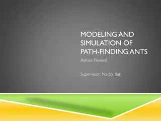 Simulation of Path-Finding Ants