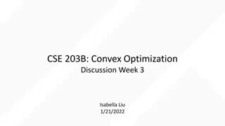 Convex Optimization and Dual Cone Support