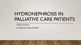Management of Hydronephrosis in Palliative Care Patients