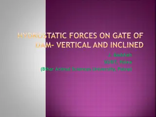 Hydrostatic Forces on Gate of Dam