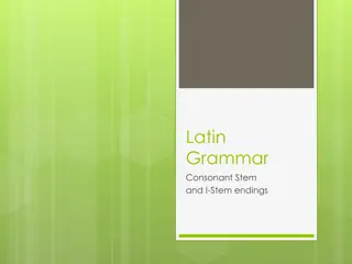 Latin Consonant and I-Stem Endings Overview