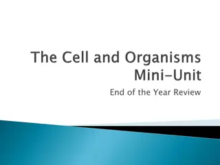 Year-End Cell Biology Insights