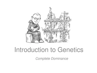 Understanding Genetics: Complete Dominance and Inheritance