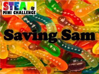 Save Sam Activity Challenge