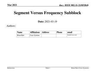 Understanding IEEE 802.11 Segments