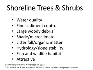 Shoreline Trees, Shrubs, and SMP Regulations