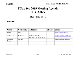 IEEE 802.11-19/1634r1 Meeting Agenda Summary