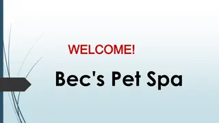 Best Pet Grooming in Crestmead