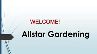 Best Lawn Care in Shoalwater