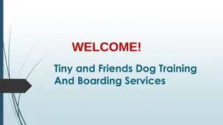 Best Dog Boarding in Plantation