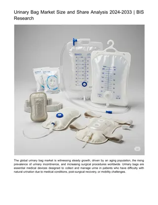 Urinary Bag Market Size and Share Analysis