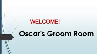 Best Pet Grooming in Hillside