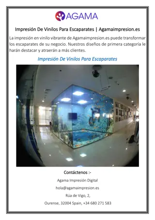 Impresión De Vinilos Para Escaparates  Agamaimpresion.es