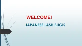 Best Eyelash Extension in Little India