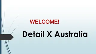 Best Paint Correction in Noble Park North
