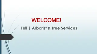 Best Tree Lopping Services in Epping