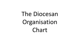 The Diocesan  Organisation