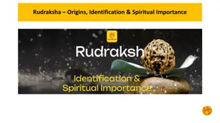 Rudraksha – Origins, Identification & Spiritual Importance