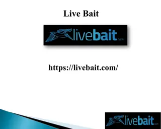 Best 8 Foot Cast Fishing Net, livebait.com