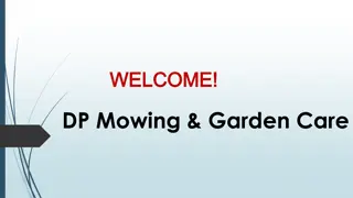 Best Hedge Trimming in Mernda