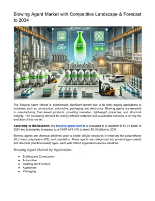 Blowing Agent Market Opportunities, Share & Trends by 2034